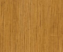 Afrika Ceviz Suntalam